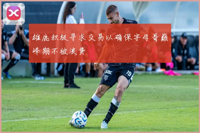 雄鹿积极寻求交易以确保字母哥巅峰期不被浪费
