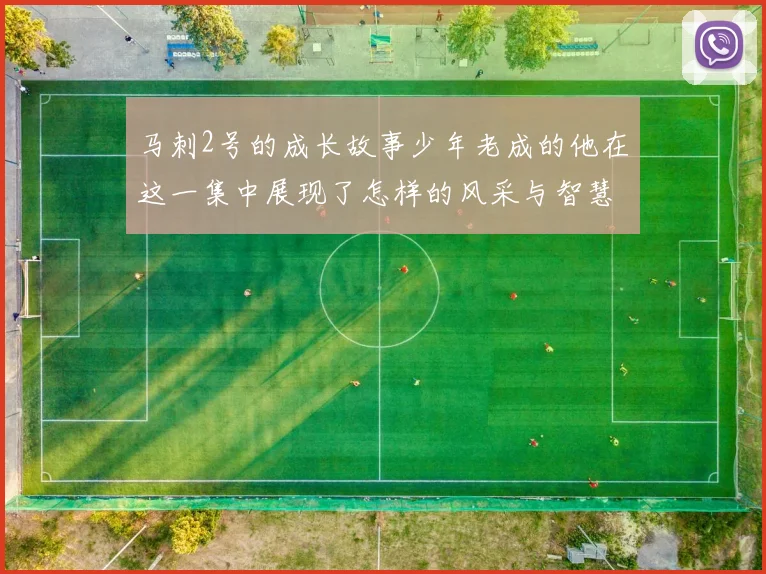 马刺2号的成长故事少年老成的他在这一集中展现了怎样的风采与智慧