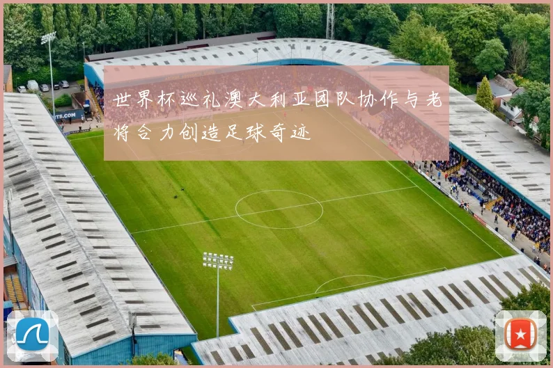 世界杯巡礼澳大利亚团队协作与老将合力创造足球奇迹