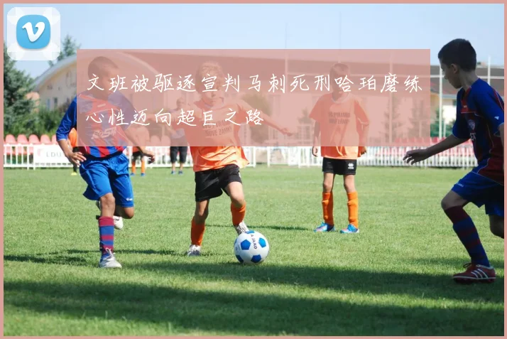 文班被驱逐宣判马刺死刑哈珀磨练心性迈向超巨之路