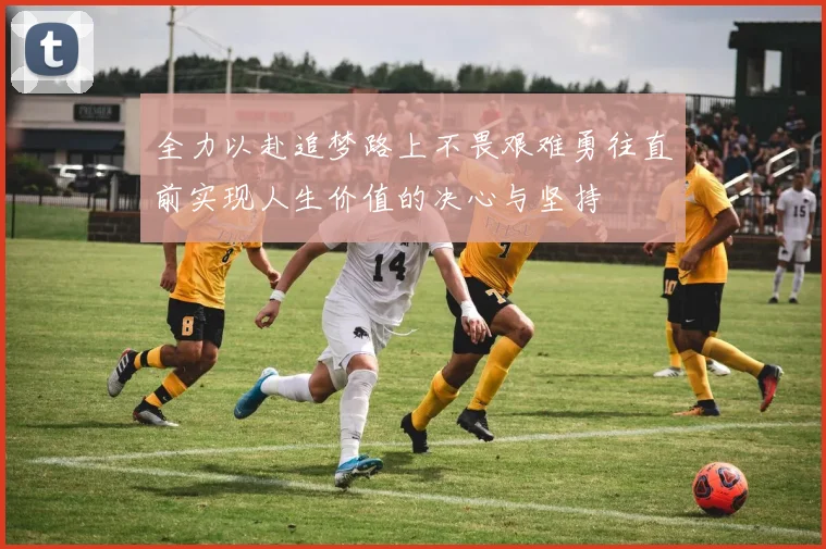 全力以赴追梦路上不畏艰难勇往直前实现人生价值的决心与坚持